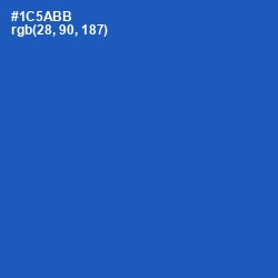 #1C5ABB - Fun Blue Color Image