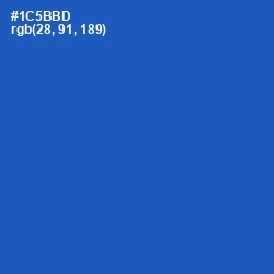 #1C5BBD - Fun Blue Color Image