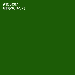 #1C5C07 - Parsley Color Image