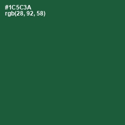 #1C5C3A - Te Papa Green Color Image