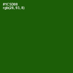 #1C5D08 - Parsley Color Image