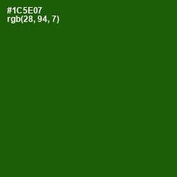 #1C5E07 - Parsley Color Image