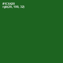 #1C6420 - Fun Green Color Image