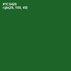 #1C6428 - Fun Green Color Image