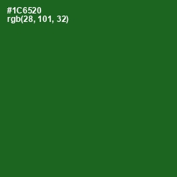 #1C6520 - Fun Green Color Image