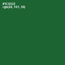 #1C6532 - Fun Green Color Image