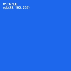 #1C67EB - Blue Ribbon Color Image