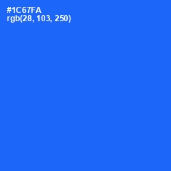 #1C67FA - Blue Ribbon Color Image