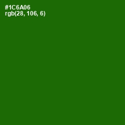 #1C6A06 - Japanese Laurel Color Image