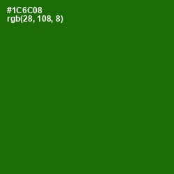 #1C6C08 - Japanese Laurel Color Image