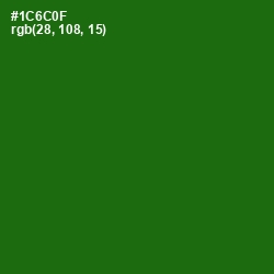 #1C6C0F - Japanese Laurel Color Image