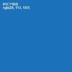 #1C71BB - Denim Color Image