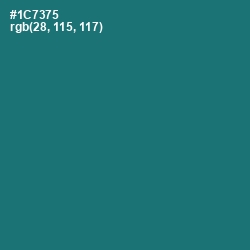 #1C7375 - Elm Color Image