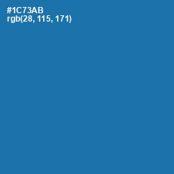 #1C73AB - Denim Color Image