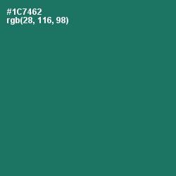 #1C7462 - Genoa Color Image