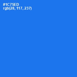 #1C75ED - Azure Radiance Color Image