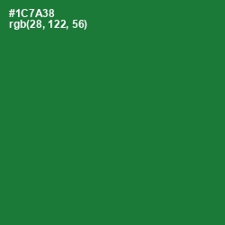 #1C7A38 - Fun Green Color Image