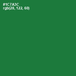 #1C7A3C - Fun Green Color Image