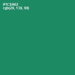 #1C8A62 - Elf Green Color Image