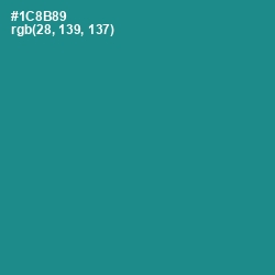 #1C8B89 - Blue Chill Color Image