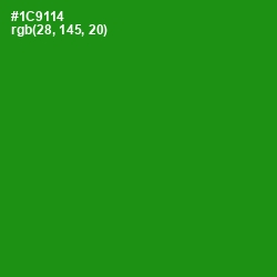#1C9114 - Forest Green Color Image