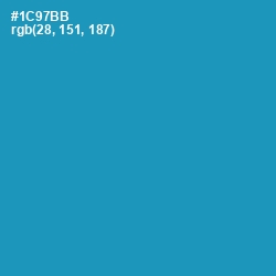 #1C97BB - Eastern Blue Color Image