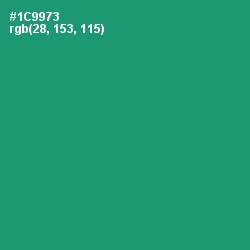 #1C9973 - Elf Green Color Image