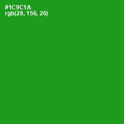 #1C9C1A - Forest Green Color Image