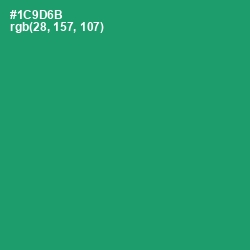 #1C9D6B - Elf Green Color Image