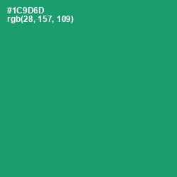 #1C9D6D - Elf Green Color Image