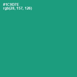 #1C9D7E - Elf Green Color Image