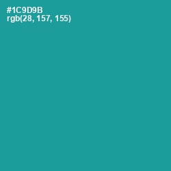 #1C9D9B - Blue Chill Color Image