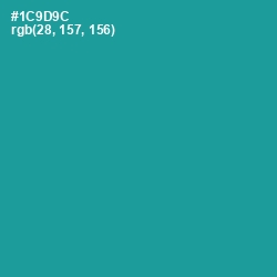 #1C9D9C - Blue Chill Color Image