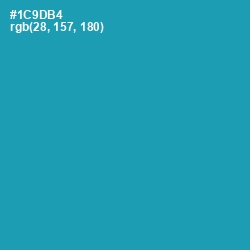 #1C9DB4 - Eastern Blue Color Image