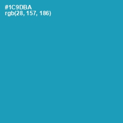 #1C9DBA - Eastern Blue Color Image