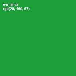 #1C9F39 - Forest Green Color Image