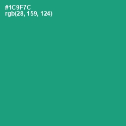 #1C9F7C - Elf Green Color Image