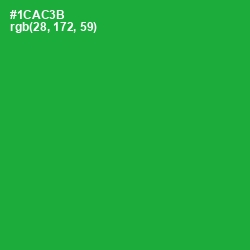 #1CAC3B - Forest Green Color Image