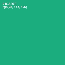 #1CAD7E - Jade Color Image