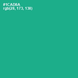 #1CAD8A - Mountain Meadow Color Image