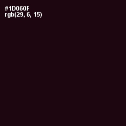 #1D060F - Asphalt Color Image