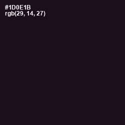 #1D0E1B - Night Rider Color Image