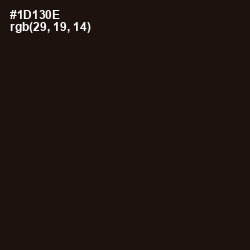 #1D130E - Night Rider Color Image