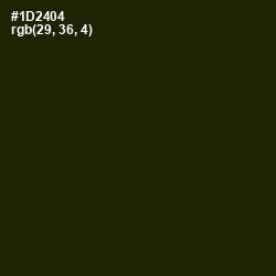 #1D2404 - Deep Forest Green Color Image