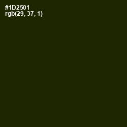 #1D2501 - Deep Forest Green Color Image