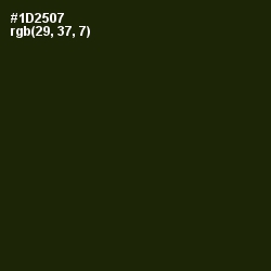 #1D2507 - Deep Forest Green Color Image