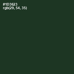 #1D3623 - Celtic Color Image