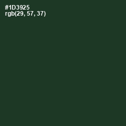 #1D3925 - Celtic Color Image