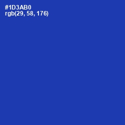 #1D3AB0 - Persian Blue Color Image