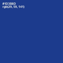 #1D3B8D - Torea Bay Color Image